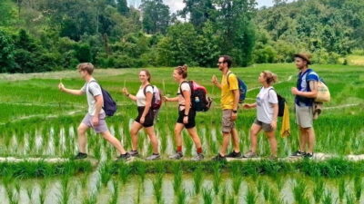 Jungle Trek, Elephants care & Bamboo Rafting