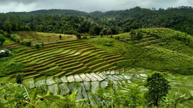 Chiang Mai: Jungle Trek, Elephants care & Bamboo Rafting - The Karen Hill Tribe Village visit
