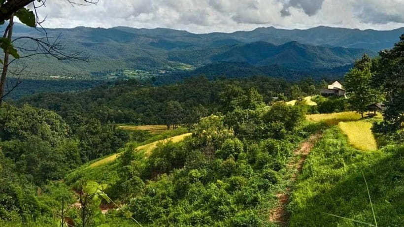 Chiang Mai: Jungle Trek, Elephants care & Bamboo Rafting - The elephant-care question needs a clear answer