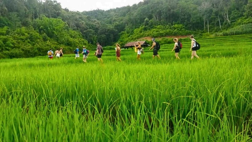 Chiang Mai: Jungle Trek, Elephants care & Bamboo Rafting - What the $58 price really covers