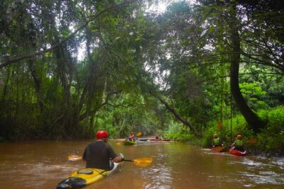 Kayak the Jungle Rivers of Chiang Dao Valley!