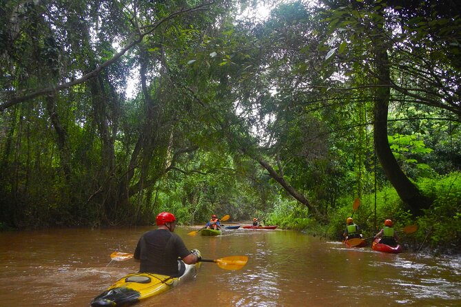 Chiang Mai : Kayak the Jungle Rivers of Chiang Dao Valley! - Getting ready at the kayaking base