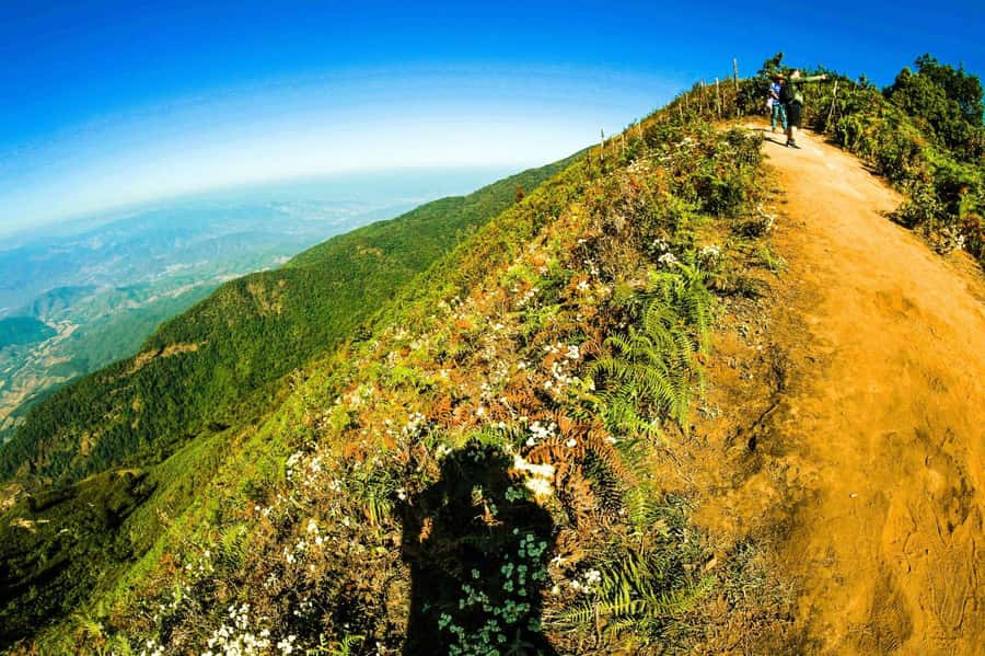 Chiang Mai: Kew Mae Pan Nature Trail & Doi Inthanon Day Trip - Who should book this Doi Inthanon tour