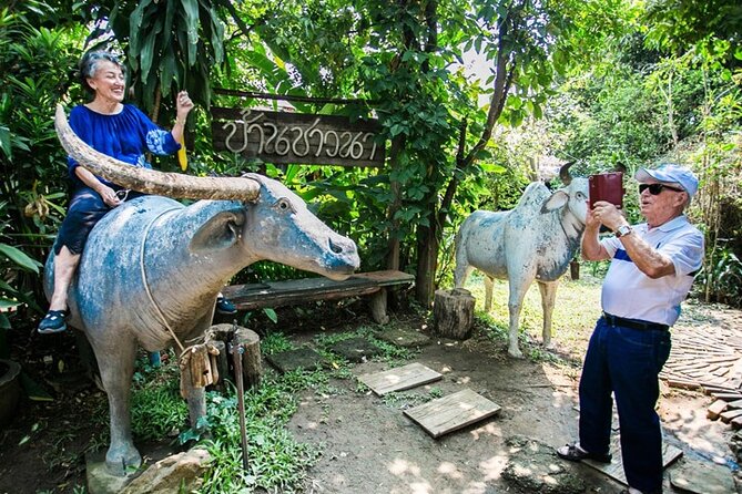 Chiang Mai Mae Ping River Cruise and Thai Farmer House Visit - How much value do you get for $20.77?