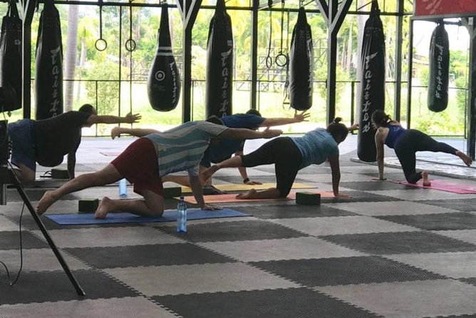 Chiang Mai Muay Thai Boxing Experience - A five-hour introduction to Muay Thai outside Chiang Mai
