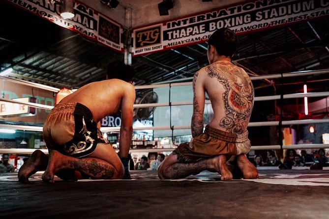 Chiang Mai Muay Thai Boxing Live at Thapae Stadium - Is $32.17 good value?
