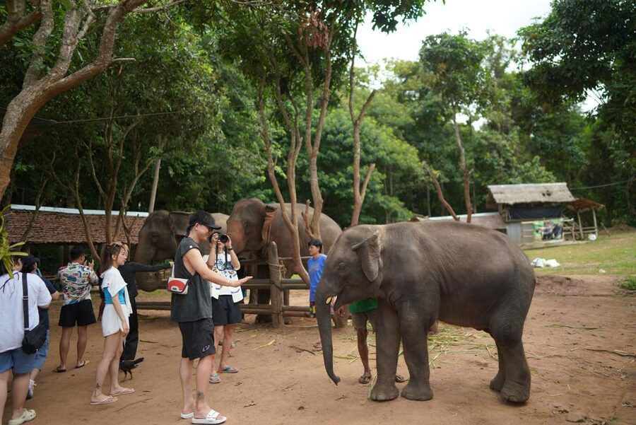 Chiang Mai: National Elephant Care, Rafting, & Ziplines Trip - Key points to know before you go