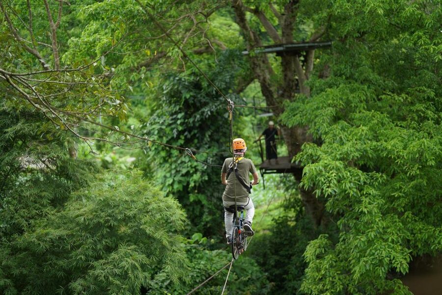 Chiang Mai: National Elephant Care, Rafting, & Ziplines Trip - Meeting the elephants at Mae Wang
