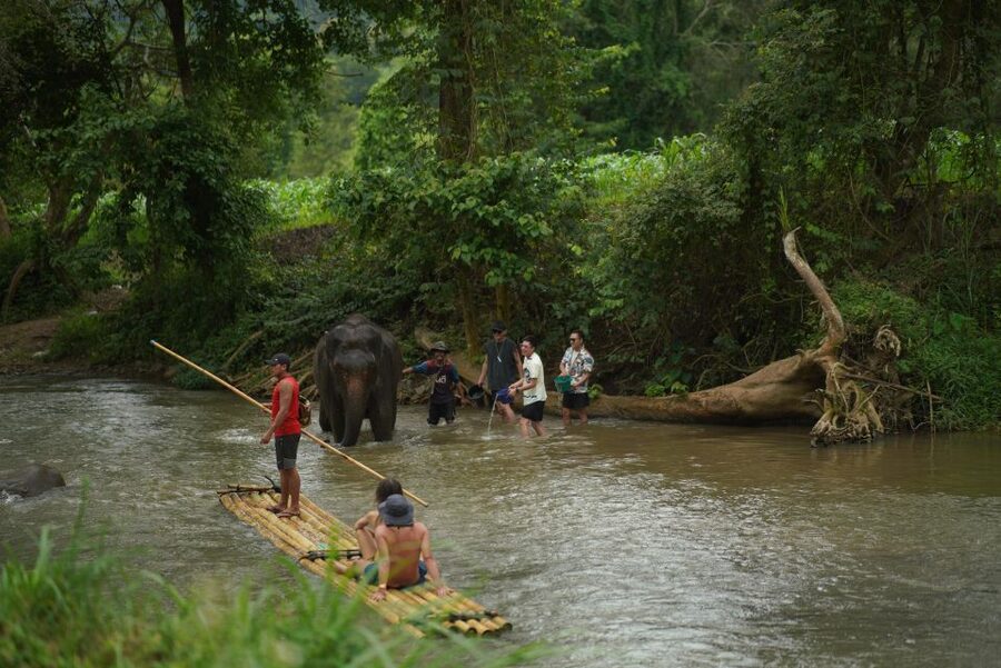 Chiang Mai: National Elephant Care, Rafting, & Ziplines Trip - Choosing bamboo rafting on the Mae Wang River
