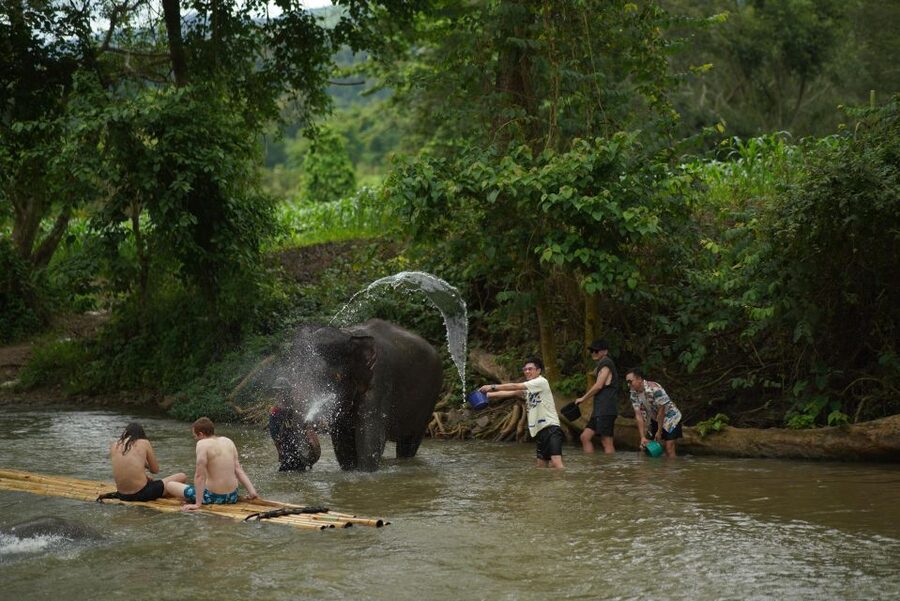 Chiang Mai: National Elephant Care, Rafting, & Ziplines Trip - The early ride south from Chiang Mai