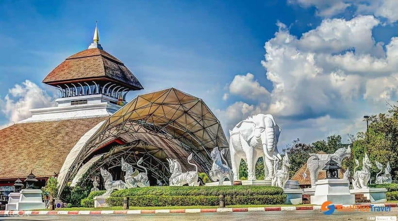 Chiang Mai Night Safari Ticket & Tram Rides Optional Pickup - The 270-minute pace and what it feels like