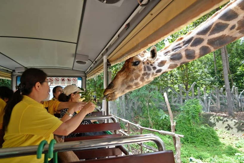 Chiang Mai Night Safari Ticket & Tram Rides Optional Pickup - Practical planning before you go