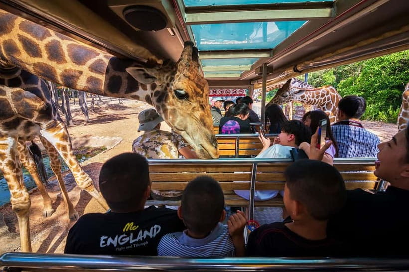 Chiang Mai Night Safari Ticket & Tram Rides Optional Pickup - Walking the trails at your own speed