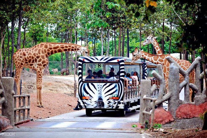 Chiang Mai Night Safari Tour including Transfer (Minimum 2 pax) - What the transfer adds to the price