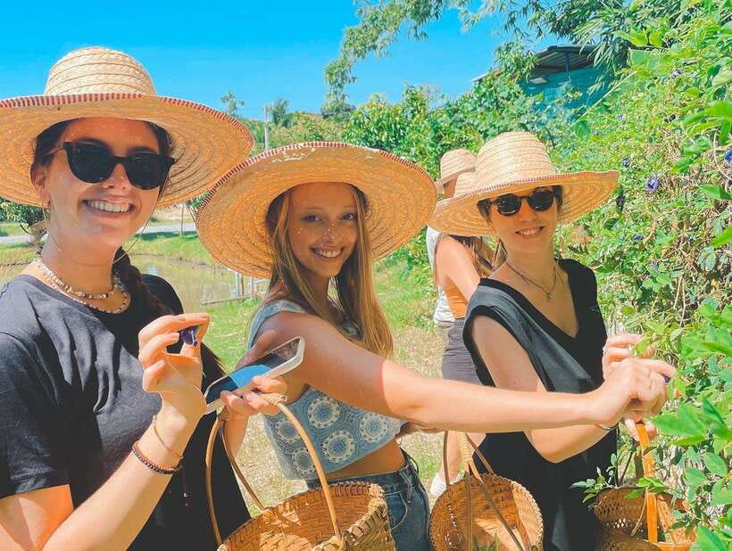 Chiang Mai Organic Thai Cooking Experience - Arriving at the organic farm