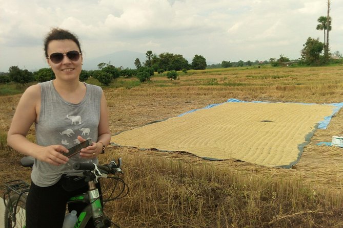 Chiang Mai Paradise Full-Day Cycling Adventure Tour - Lunch and the small tastes between stops