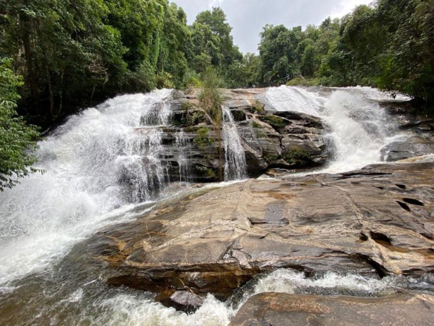 Chiang Mai: Pha Dok Siew Nature Trail & Doi Inthanon Trip - A full mountain day from Chiang Mai