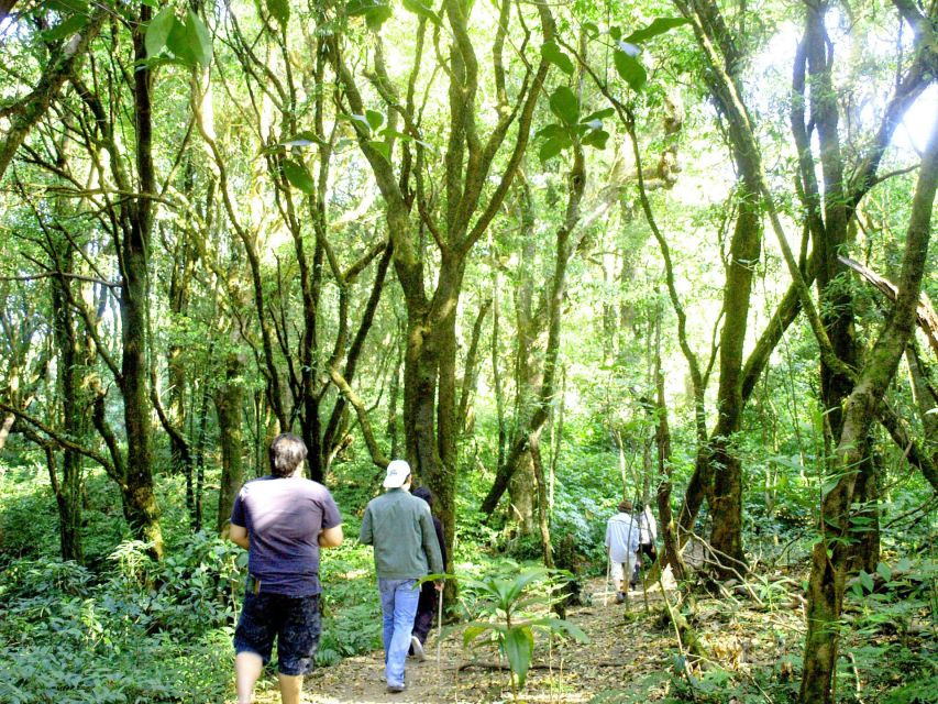Chiang Mai: Pha Dok Siew Nature Trail & Doi Inthanon Trip - The seven tiers of Pha Dok Siew Waterfall