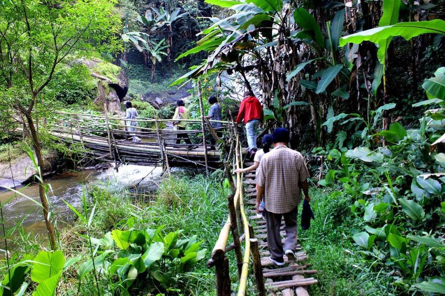 Chiang Mai: Pha Dok Siew Nature Trail & Doi Inthanon Trip - Reaching Doi Inthanon at 2,565 meters