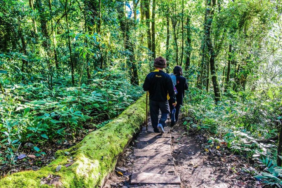 Chiang Mai: Pha Dok Siew Nature Trail & Doi Inthanon Trip - White Karen village and Hmong Tribal Market