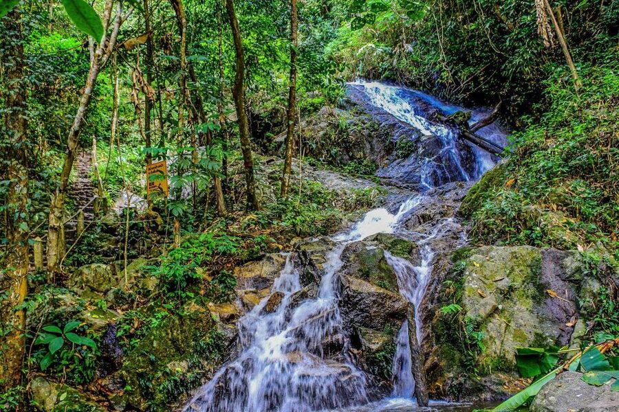 Chiang Mai: Pha Dok Siew Nature Trail & Doi Inthanon Trip - Lunch and the rhythm of the day