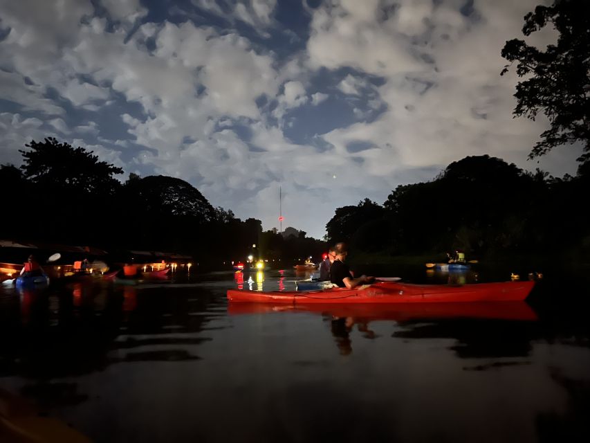 Chiang Mai: Ping River Night Kayaking into City Center - The quiet opening stretch