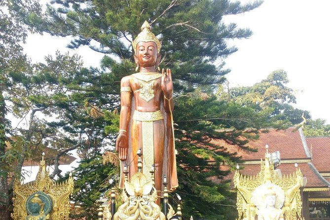 Chiang Mai Private Tour with Tea Plantation, Karen Village, Doi Suthep - Who Should Book This Chiang Mai Day Trip?