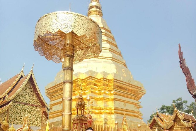 Chiang Mai Private Tour with Tea Plantation, Karen Village, Doi Suthep - Meeting a Karen Community for About 50 Minutes