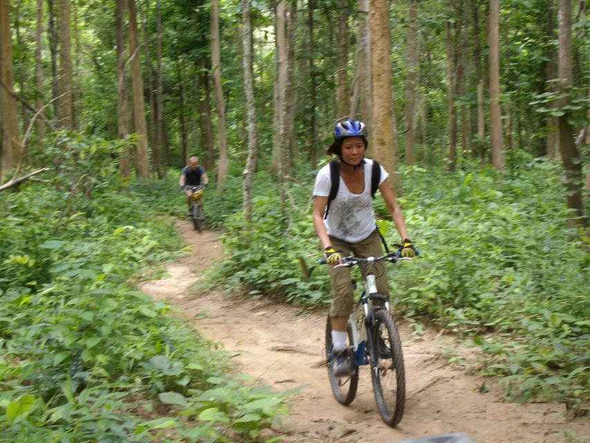 Chiang Mai: Rainforest Guided Mountain Biking Tour - From Chiang Mai to the Doi Saket countryside