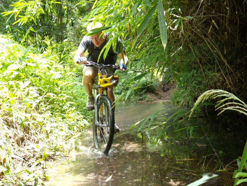Chiang Mai: Rainforest Guided Mountain Biking Tour - What the $62 price includes