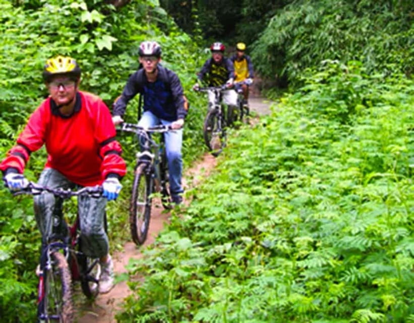 Chiang Mai: Rainforest Guided Mountain Biking Tour - What the rainforest track is really like