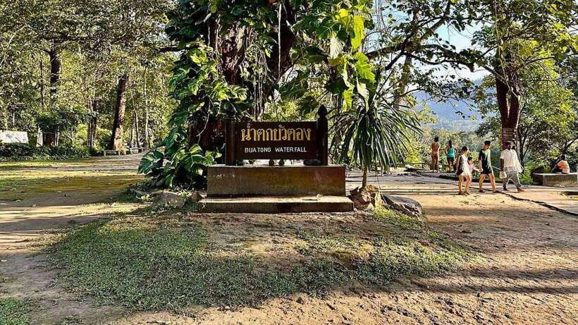 Chiang Mai: Sticky Waterfall, Chet Si Fountain Park Transfer - Who will enjoy this outing most