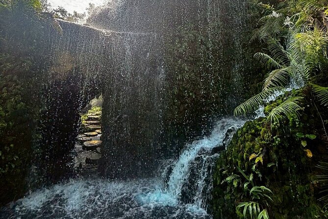 Chiang Mai Sticky Waterfall Dantewada and Banden Temple Tour - What the $59.83 price really covers