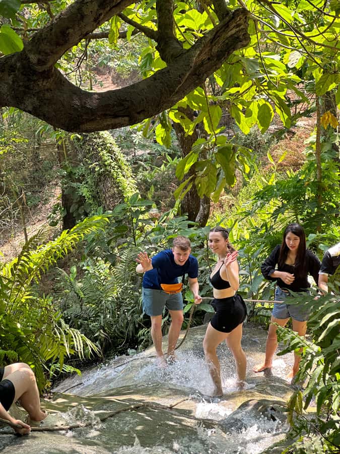 Chiang Mai : Sticky waterfall (Half Day Tour) Hotel Transfer - Why the lack of a guide matters