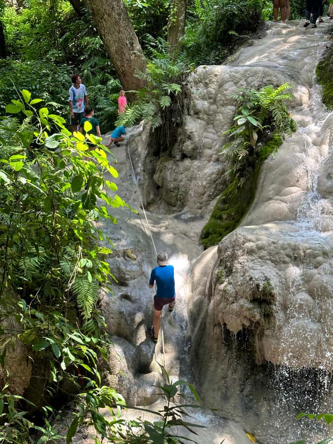 Chiang Mai : Sticky waterfall (Half Day Tour) Hotel Transfer - Choosing morning or afternoon