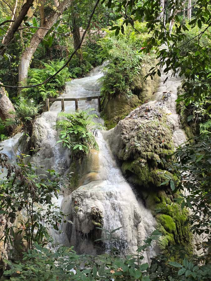 Chiang Mai : Sticky waterfall (Half Day Tour) Hotel Transfer - Who will enjoy this half-day trip