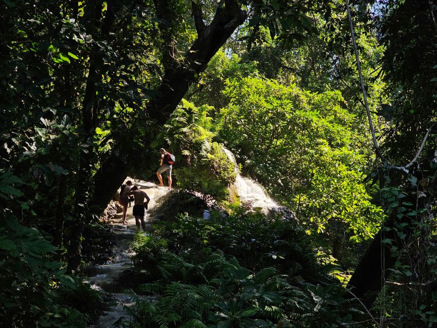Chiang Mai: Sticky Waterfall Half-Day Tour & Hotel Transfers - Key points at a glance