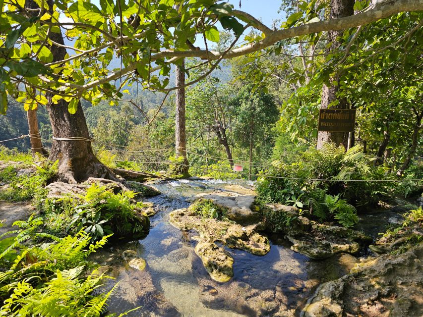Chiang Mai: Sticky Waterfall Half-Day Tour & Hotel Transfers - Why Sticky Waterfall is different