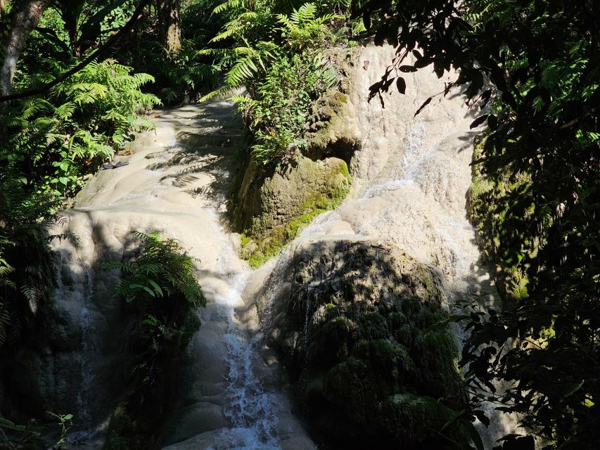 Chiang Mai: Sticky Waterfall Half-Day Tour & Hotel Transfers - Arriving at Si Lanna National Park