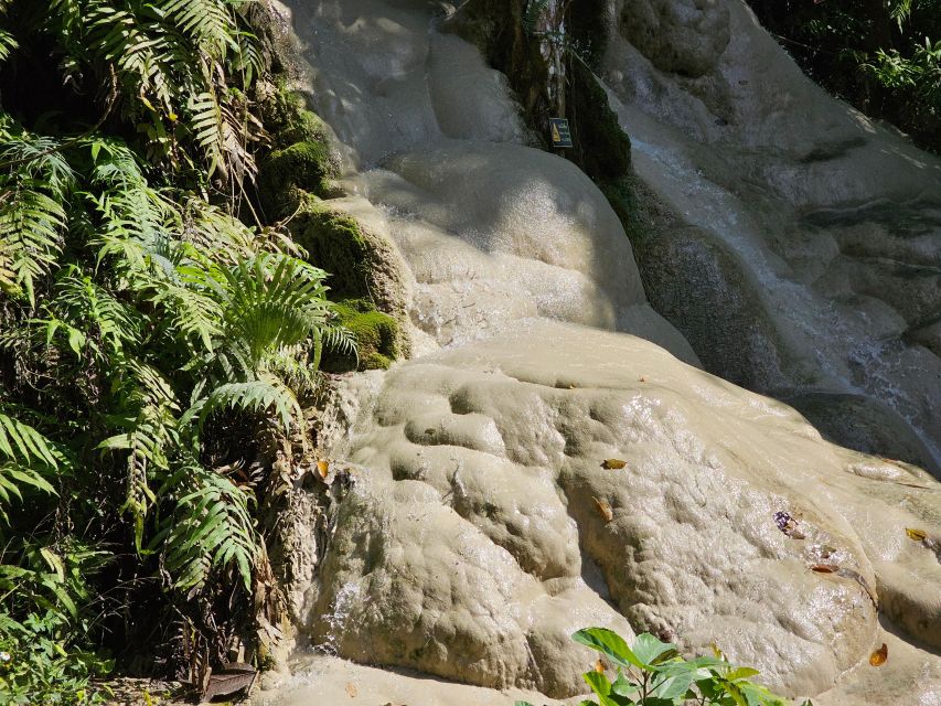 Chiang Mai: Sticky Waterfall Half-Day Tour & Hotel Transfers - The two-hour waterfall visit