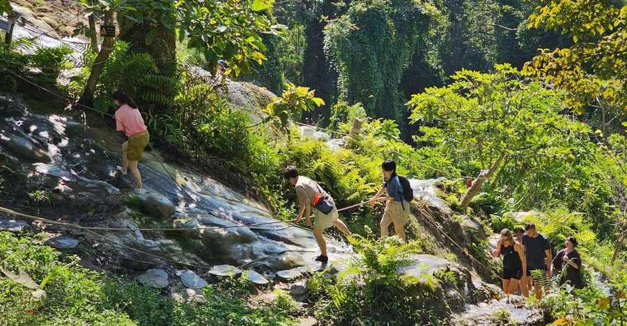 Chiang Mai: Sticky Waterfall Half-Day Tour & Hotel Transfers - Morning or afternoon: the choice matters