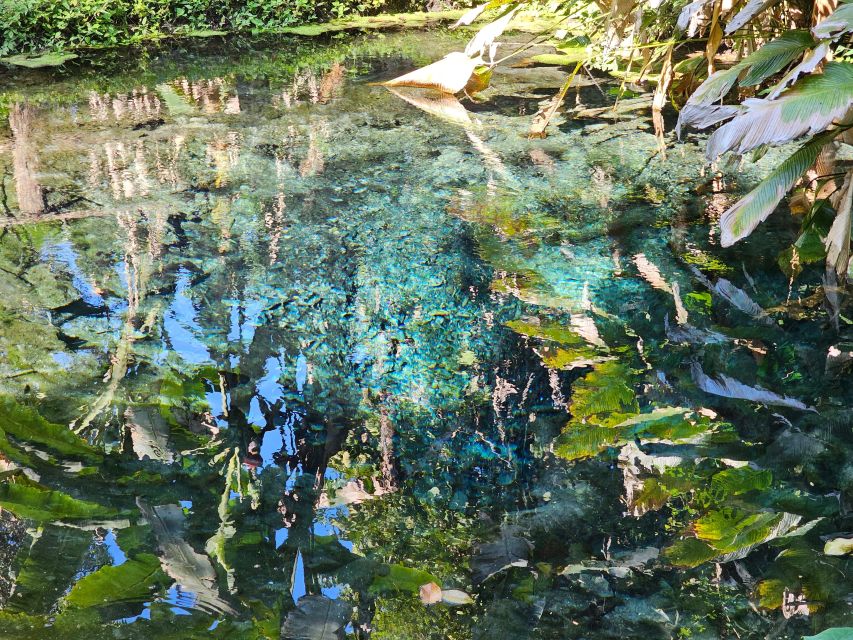 Chiang Mai: Sticky Waterfall Half-Day Tour & Hotel Transfers - Is $30 a fair price?