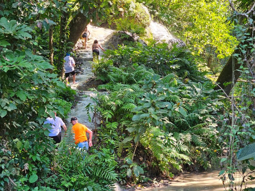 Chiang Mai: Sticky Waterfall Half-Day Tour & Hotel Transfers - Who will enjoy this half-day trip?