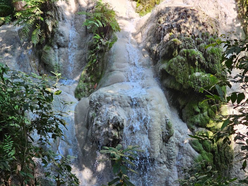 Chiang Mai: Sticky Waterfall Half-Day Tour & Hotel Transfers - Booking details worth knowing