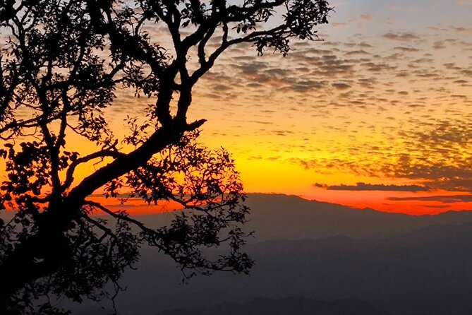Chiang Mai Sunset Point, Wat Pha Lat, Wat Doi Suthep, Wat Umong - Key points at a glance