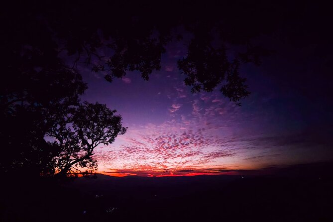 Chiang Mai Sunset Point, Wat Pha Lat, Wat Doi Suthep, Wat Umong - What the $66 price includes