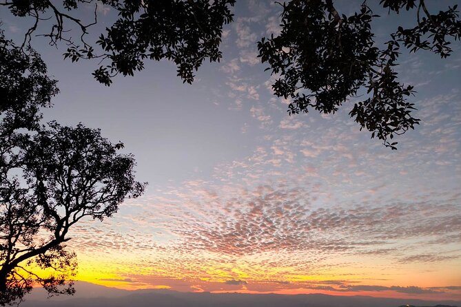 Chiang Mai Sunset Point, Wat Pha Lat, Wat Doi Suthep, Wat Umong - Who will enjoy this half-day outing