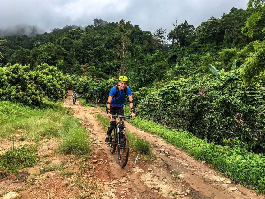 Chiang Mai: Suthep National Park Hiking & DH Mountain Biking - A mountain day built around effort and reward