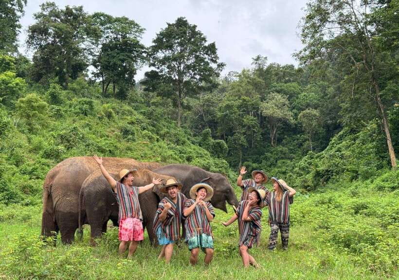 Chiang Mai | TeeTee Elephant Home Elephant Care Half-Day - Key points to know before you go