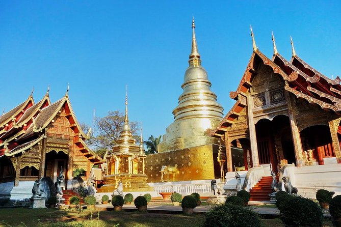 Chiang Mai Temples & City - Wat Suan Dok’s field of white chedis